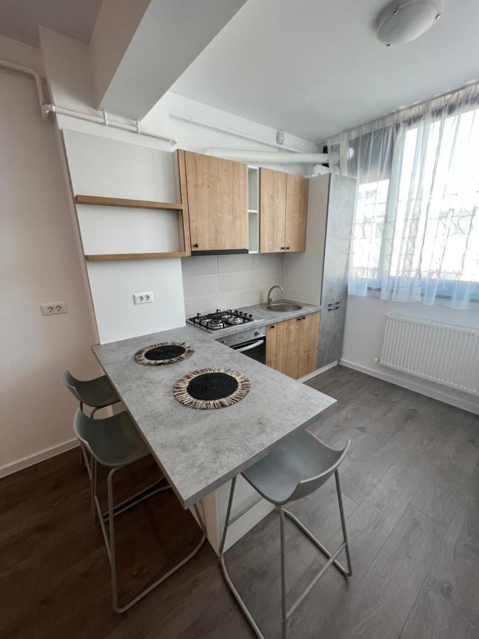 Sunny Apartments Suceava 64 外观 照片