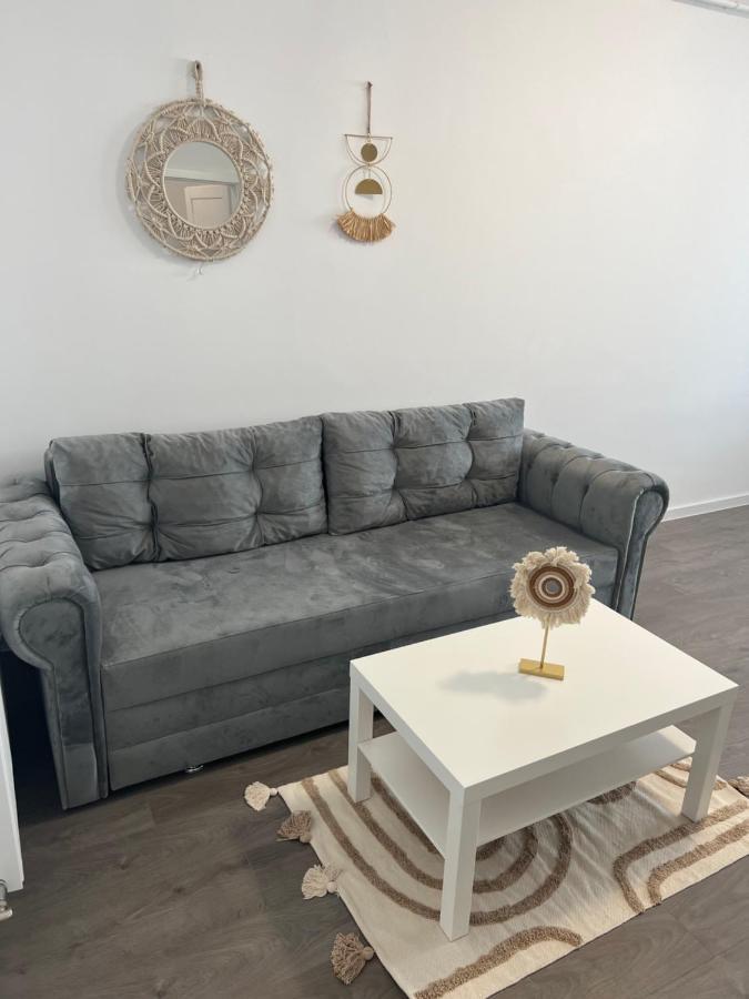 Sunny Apartments Suceava 64 外观 照片
