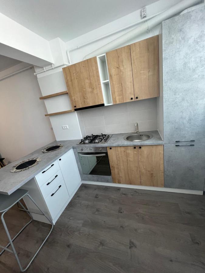 Sunny Apartments Suceava 64 外观 照片