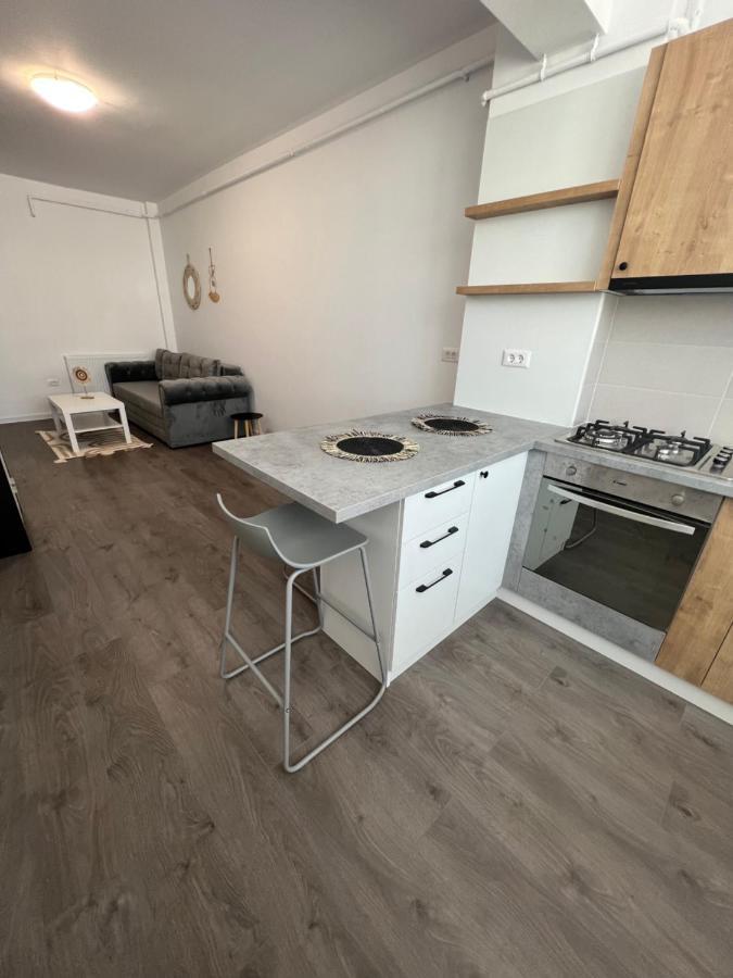 Sunny Apartments Suceava 64 外观 照片